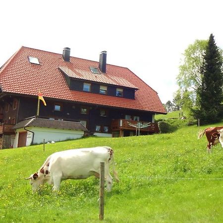 Haus Winterberg Apartment Schonach im Schwarzwald Exterior photo