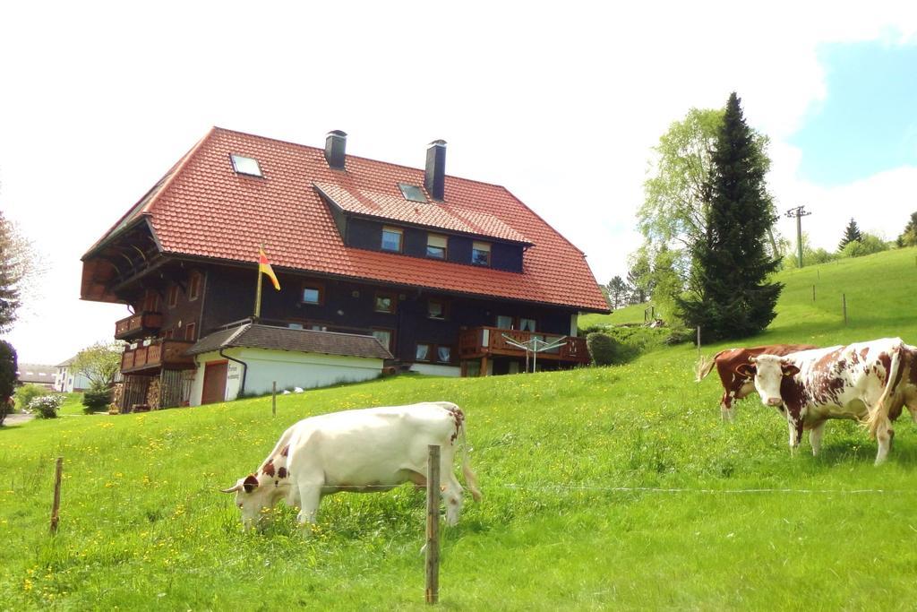 Haus Winterberg Apartment Schonach im Schwarzwald Exterior photo